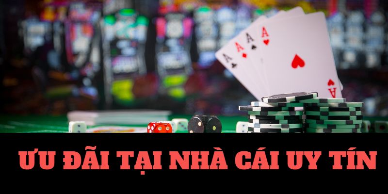 vip79-Sống động và hấp dẫn： Trực tiếp bóng đá!